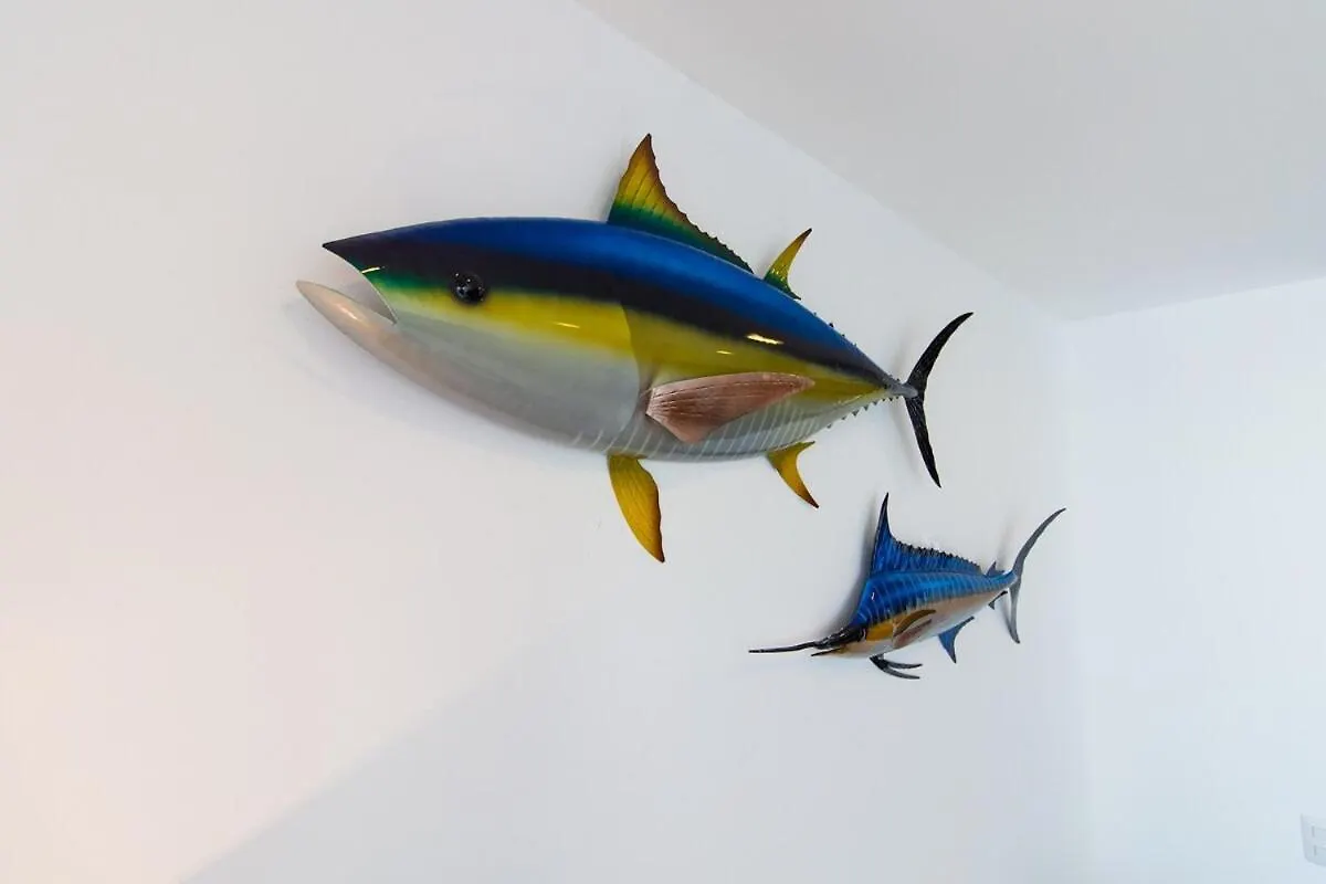 Charming Oceanfront Condo Puerto Vallarta